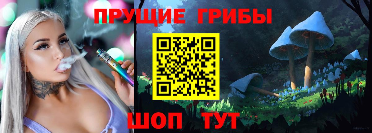 цена наркотик  Вход с VPN  Петропавловск-Камчатский  Псилоцибиновые грибы GOLDEN TEACHER  Псилоцибиновые грибы мицелий 